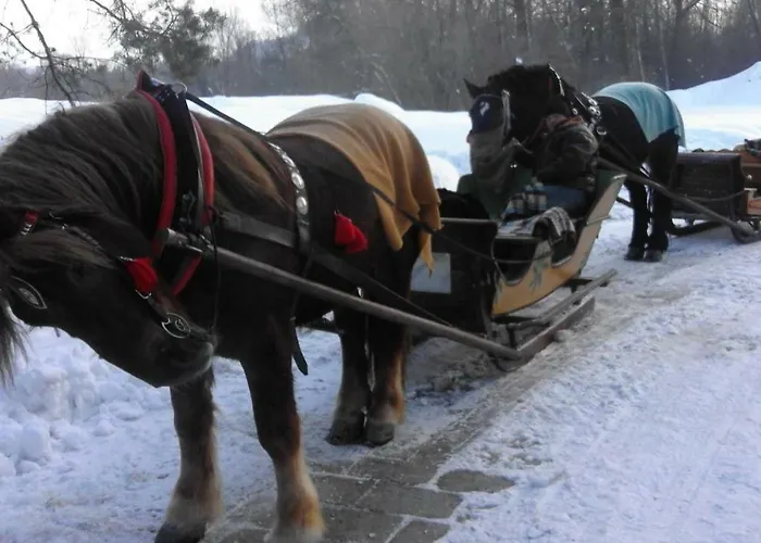U Pitera Feriegård Sromowce Wyzne